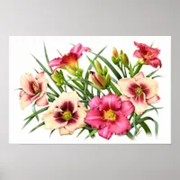 Red Daylilies Botanical Art Print