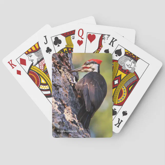 Beautiful Pileated Woodpecker on the Tree Poker Cards