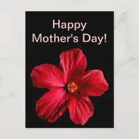 Red Hibiscus Flower Postcard