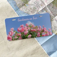 Pink rose bush under blue sky, custom gardener license plate