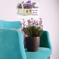 Lavender Brings True Love Poster Wall Art