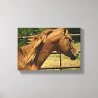 Scotch Round Pen Canvas Print