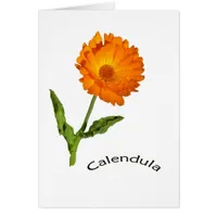 Card - blank - Calendula with label