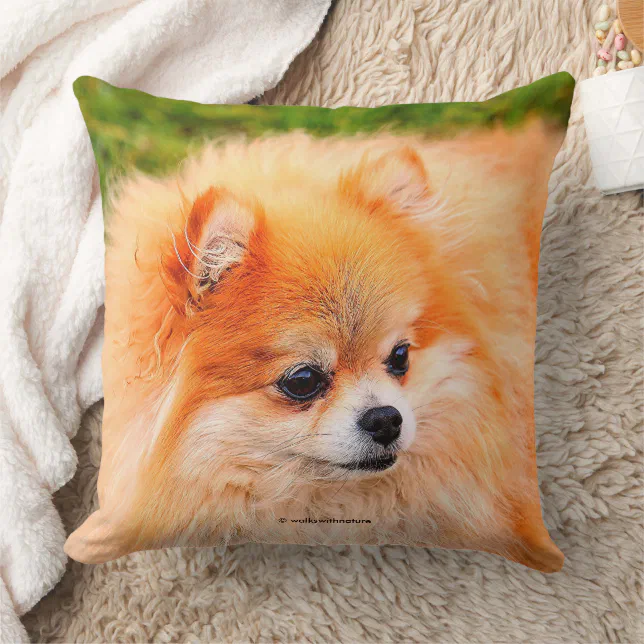 Adorable Pomeranian Dog Throw Pillow