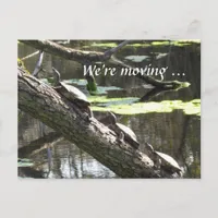 Postcard - We're moving ... Turtles