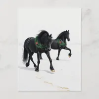 Beautiful Black Horses Winter Snow Christmas Postcard