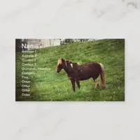 Pinto Pony Business Card
