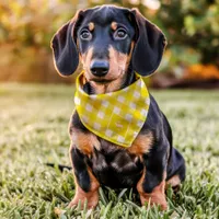 Yellow And White Diagonal Buffalo Plaid Monogram Pet Bandana Collar