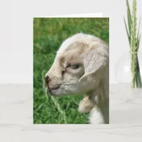 Flower the Goat Card