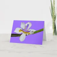 Card - Greeting - Iris