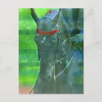 American Saddlebred Postcard