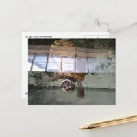 A Beautiful Turtle Postcard