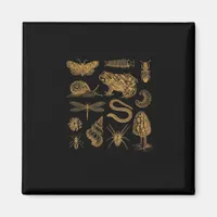 Frog Mushroom Moth Vintage Lover Goblincore Aesthe Magnet