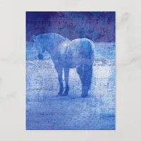Purple Equine Postcard