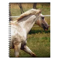 Appy Notebook