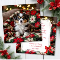 A Cute Festive Papillon Personalized Christmas Holiday Card