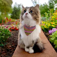 Flower Girl Pattern Pet Bandana Collar