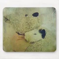 Teddy Bear Hugs A Guinea Pig Mouse Pad