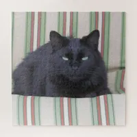 Puzzle - Cozy Cat on Cushion