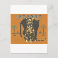 Leopard Vintage Postcard