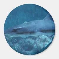 Shark swimming in the ocean Photo Magnet