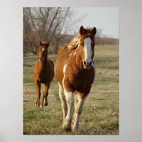 Horses Coming Towards Camera Poster