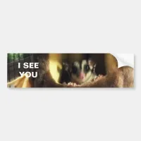 Sugar Glider in Furry Tree Truck Hanging Bed Bumper Sticker