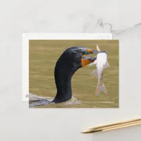 Stunning Double-Crested Cormorant Bird with Fish Postcard