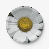 Single White Daisy Paper Plates
