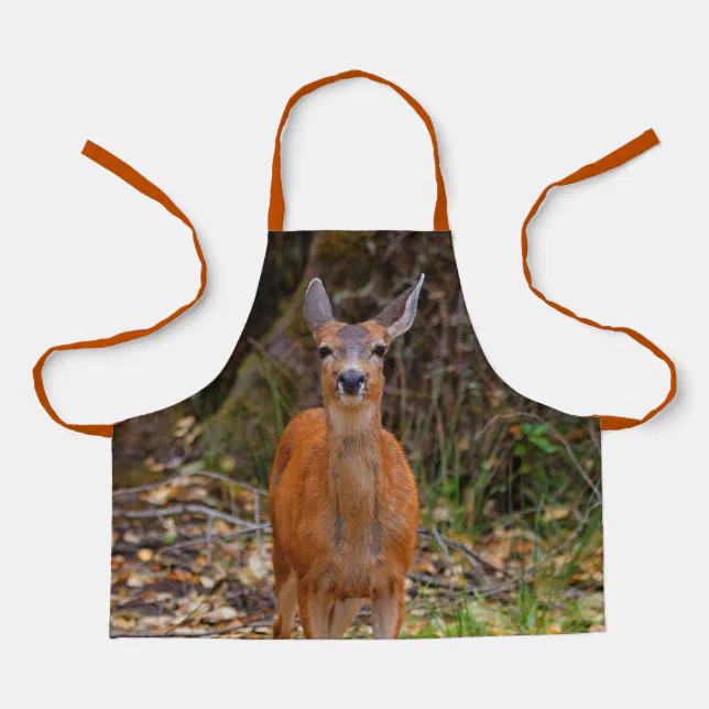 Funny Young Blacktail Deer Smiles at Photographer Apron