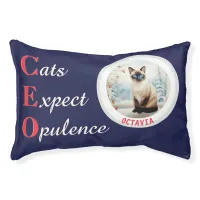 CEO Cats Expect Opulence Photo Name Pillow Pet Bed