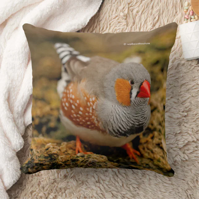 Zebra Finch Songbird on the Rocks Throw Pillow