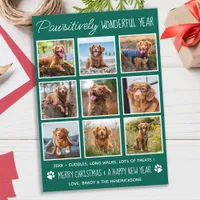 Pawsitively Wonderful Year Cute Collage Pet Photo Holiday Card