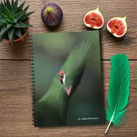 Funny Curious Guinea Turaco Green Bird Notebook
