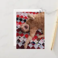 Sleepy Ginger Kitty with a big Yawn Postcard