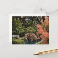 Surreal Beautiful Elephant in the pool Postcard