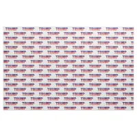 American Flag Trump Text Election 2020, ZSSG Fabric