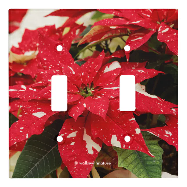 Festive Red White Floral Poinsettias Light Switch Cover