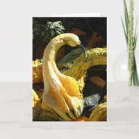 Gourds, Thanksgivng for Friend Holiday Card