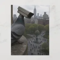  in the park A surreal surveillance camera pigeon Postcard