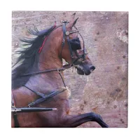 Hackney Grunge Ceramic Tile