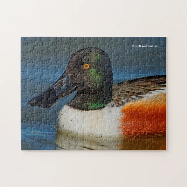 Closeup of a Handsome Northern Shoveler Duck Jigsaw Puzzle