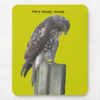 Mousepad - Falcon