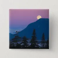 Nightfall in Alaska Pinback Button