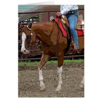 Western Horse Cartoon Effect Cards