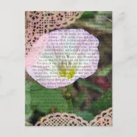 Pink and White Field Bind Weed Postcard