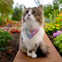 Stylish Chic Elegant Pastel Rainbow Colors  Pet Bandana Collar