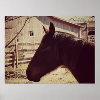 Bay Horse Poster