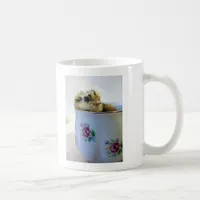 Easter Egger Chick in Cup