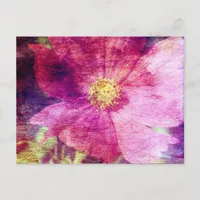 Cosmo Flower Postcard